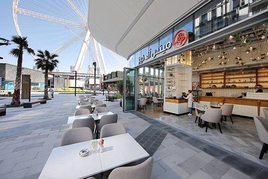 Mitts and Trays Bluewaters